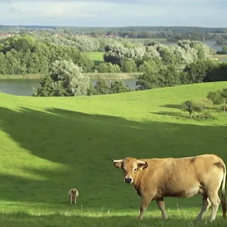 Grosszuegige Mit Toller Aussicht By Interhome *
