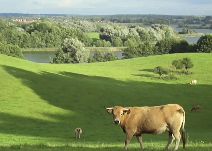 Grosszuegige Mit Toller Aussicht By Interhome *